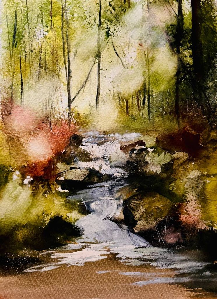 Morning forest