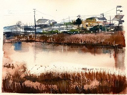 Brown town
