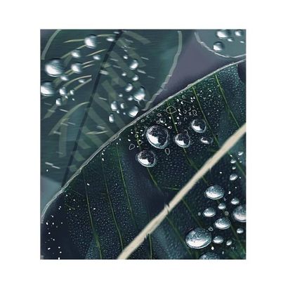 Leaf8.511