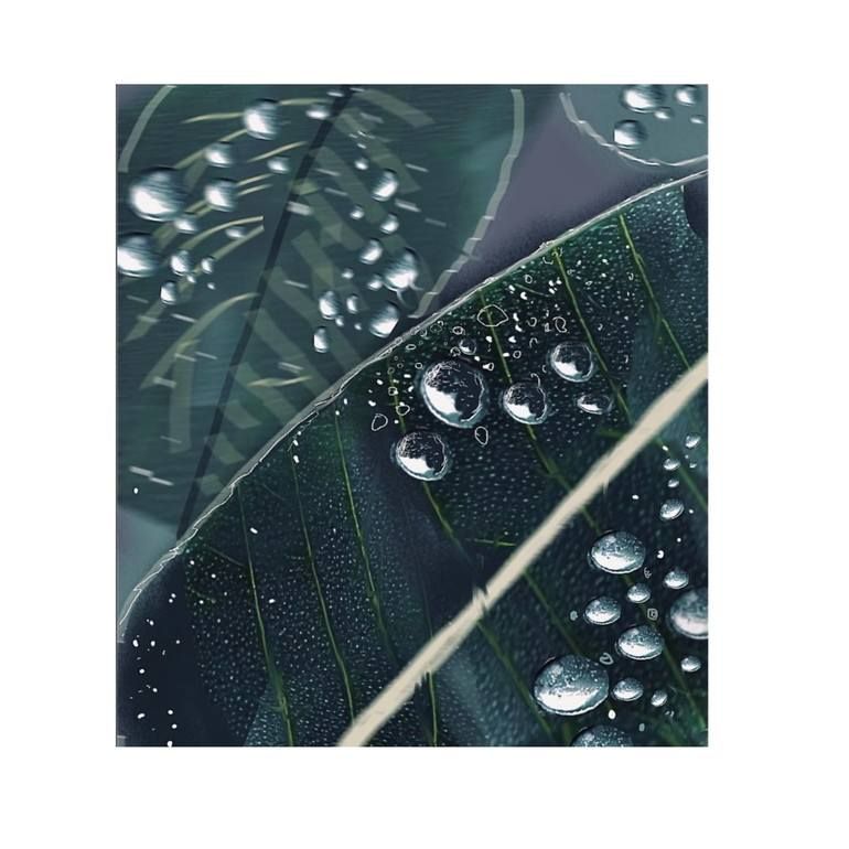 Leaf8.511